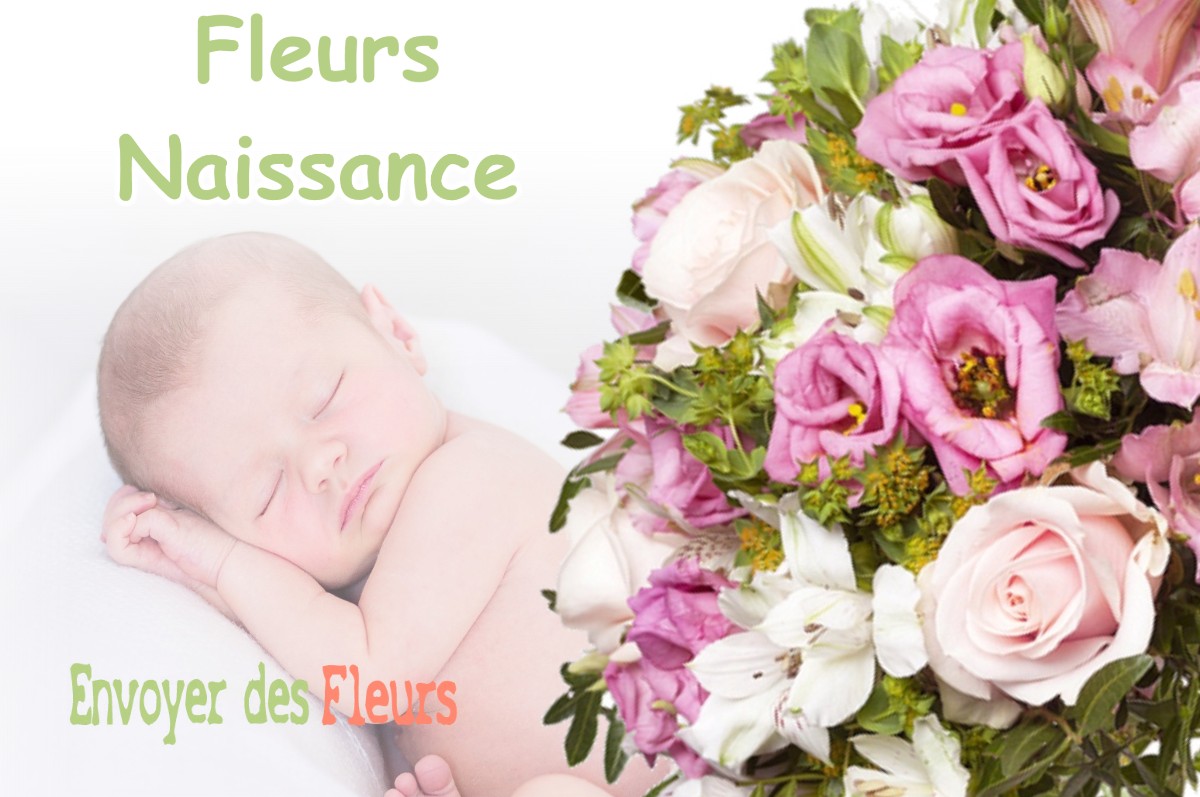 lIVRAISON FLEURS NAISSANCE à OZ